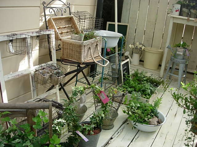 c0085916_3375894.jpg