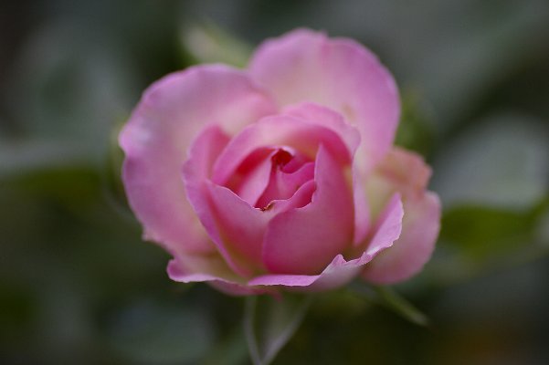 a0055024_8443414.jpg