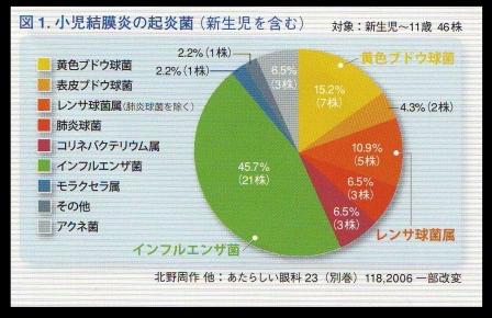 感染症のミニ勉強会_f0088231_13332146.jpg