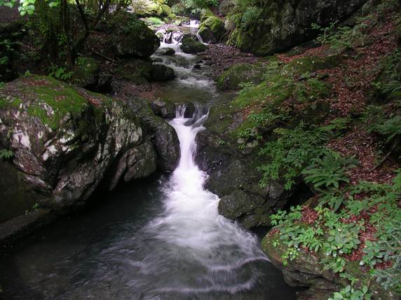 c0029332_21183582.jpg