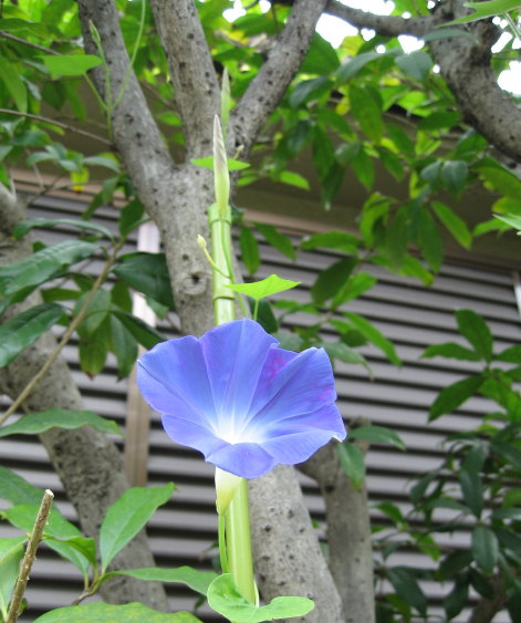 f0068334_20583551.jpg