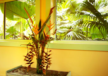 ＊耳と鼻と目と　こころを、ひろげること　　,Honoka\'a Hawaii_a0030038_12265965.jpg