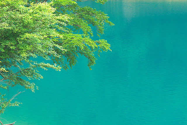 c0067040_22503395.jpg