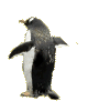 f0096147_22462919.gif