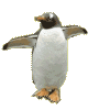 f0096147_23541830.gif