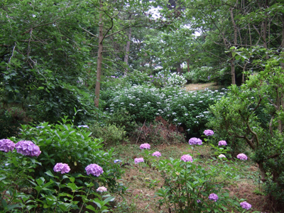 b0045357_14497.jpg