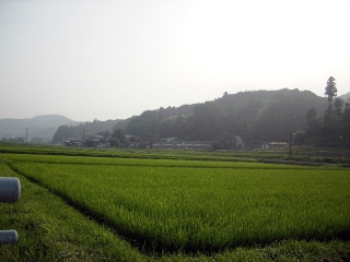f0043559_0555655.jpg