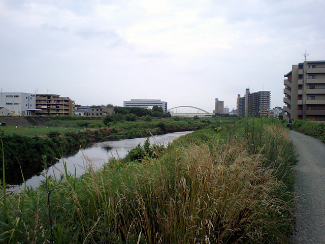 b0024261_13651.jpg