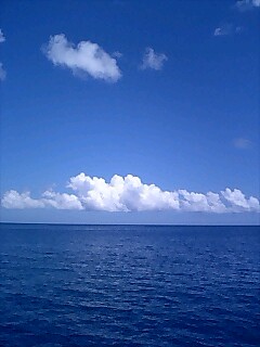 b0062363_21261665.jpg