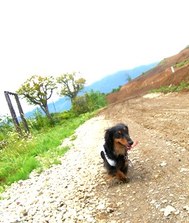 d0071269_93787.jpg