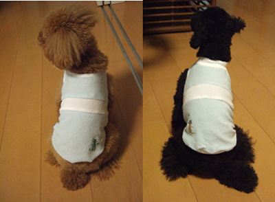いよいよMAURI!!_b0032175_3171242.jpg