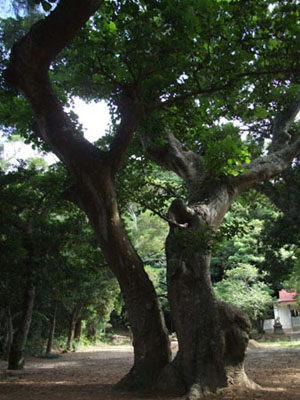 アラカルト_e0028387_18175564.jpg