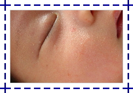 b0026388_1244839.jpg