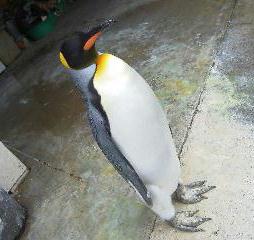 f0040310_19205094.jpg
