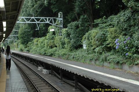 a0094711_8392672.gif