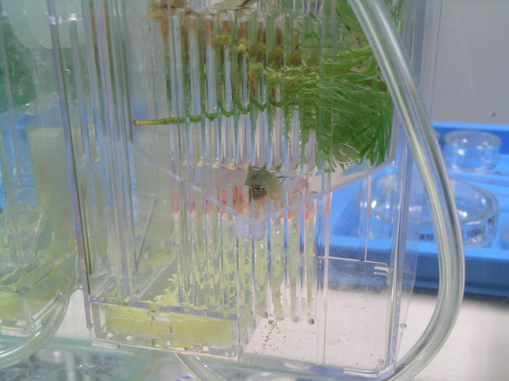 c0025115_21542765.jpg