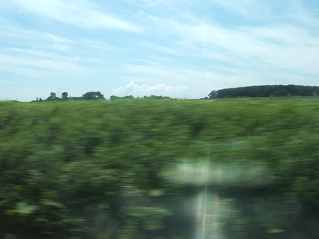f0054720_2237445.jpg