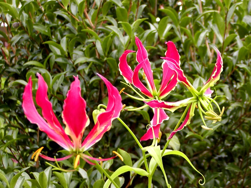a0004023_7352199.jpg