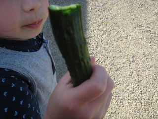 f0037726_2055528.jpg