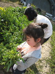 f0037726_20555953.jpg