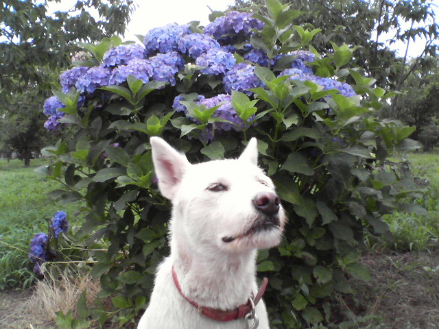 c0123029_010352.jpg