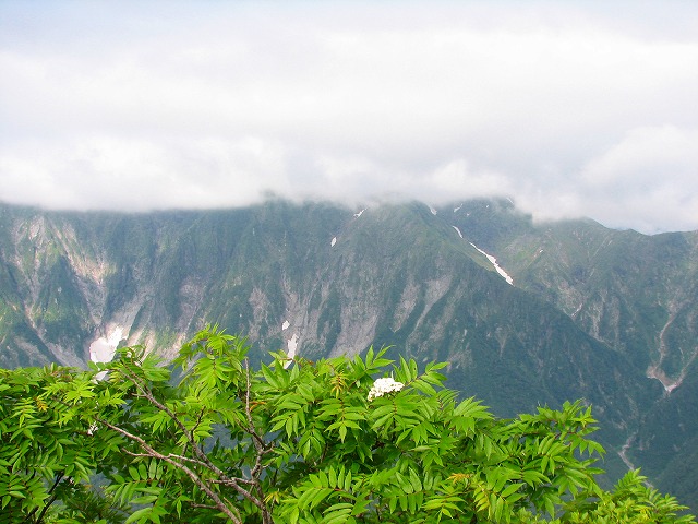 ７月１日（日）　谷川連峰、白毛門～朝日岳♪_b0097836_23464480.jpg