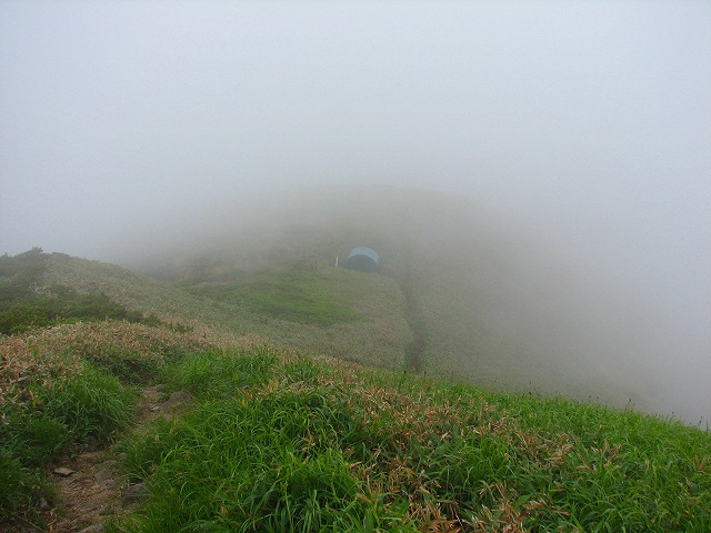 ７月１日（日）　谷川連峰、白毛門～朝日岳♪_b0097836_23484346.jpg