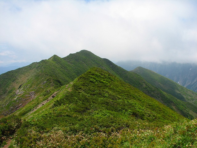 ７月１日（日）　谷川連峰、白毛門～朝日岳♪_b0097836_23541498.jpg