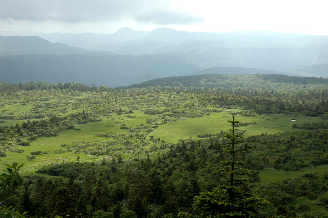 c0077847_21314311.jpg