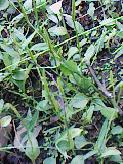 c0100148_20421152.jpg