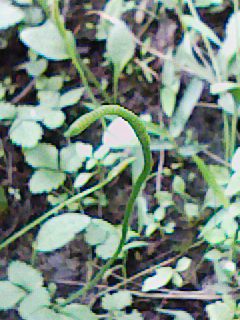 c0100148_20422925.jpg