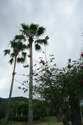 f0042548_016022.jpg