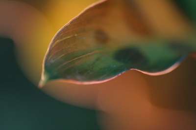 f0042548_017826.jpg