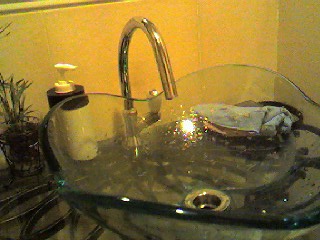 a0048463_1521449.jpg