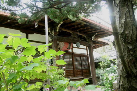 洛陽観音巡礼 <第9番 青龍寺>_a0045381_23563992.jpg