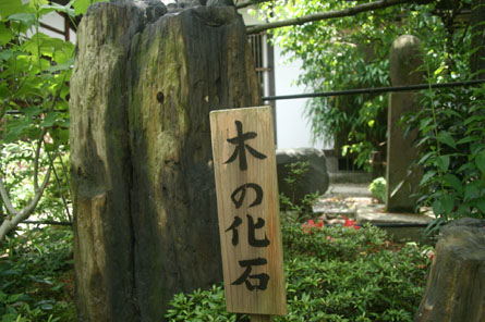 洛陽観音巡礼 <第9番 青龍寺>_a0045381_23573528.jpg