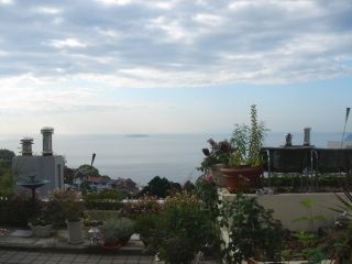 2007年7月1,2日日曜日もなにもないね _b0098584_22471466.jpg