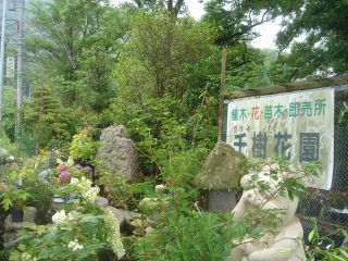2007年7月1,2日日曜日もなにもないね _b0098584_2250155.jpg
