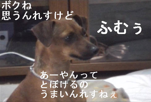 f0123589_19522966.jpg
