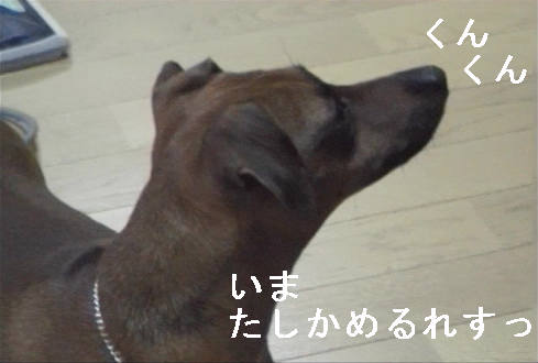 f0123589_19545762.jpg