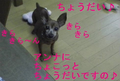 f0123589_1956283.jpg
