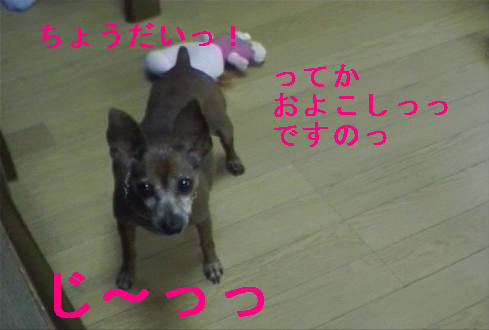f0123589_19565434.jpg