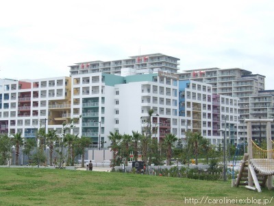 明海海沿い散策_d0025294_10551464.jpg