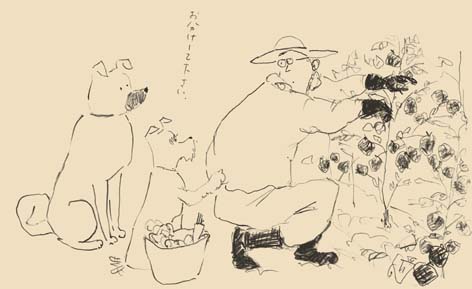 農業はバクチ?_f0120395_18322678.jpg