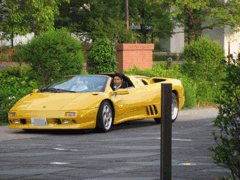 a0033733_911865.gif