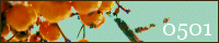 a0062133_17141932.gif