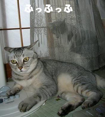 りくが来て1年経ちました_f0002743_8194548.jpg