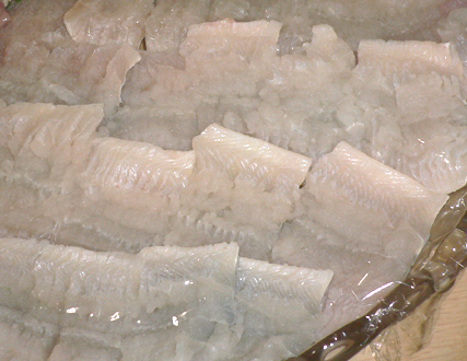 d0075246_0274591.jpg