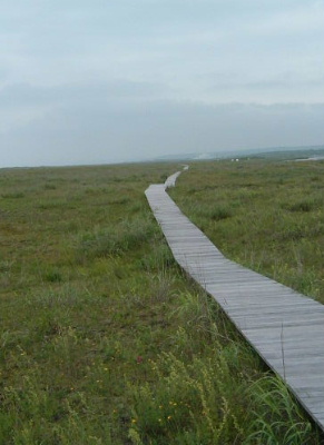 c0100552_20255170.jpg