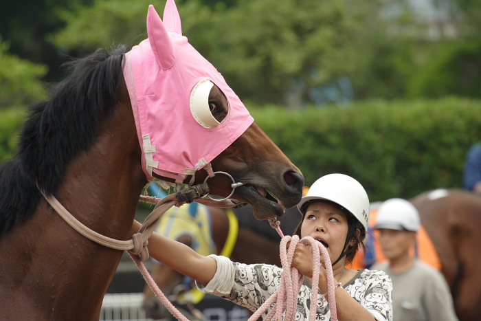 2007年6月24日（日） 高知競馬 6R_a0077663_19362038.jpg